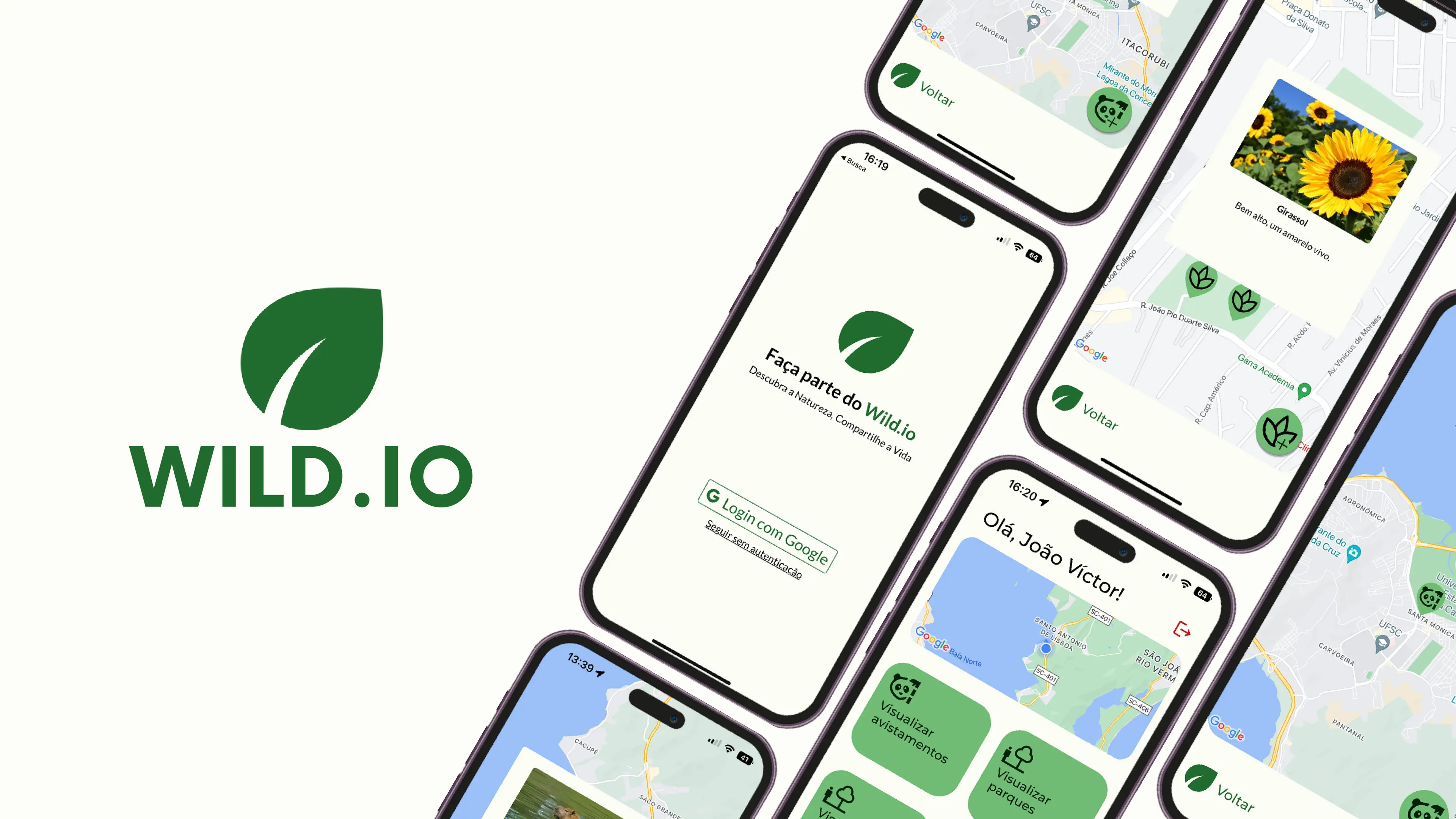 Wild.io preview